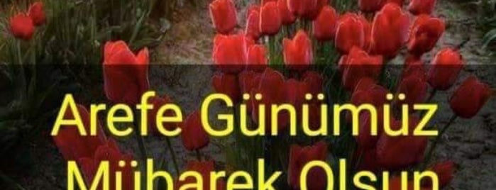 Faruk Güllüoğlu is one of Posti che sono piaciuti a Hakan.