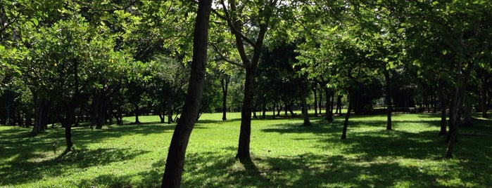 Daan Forest Park is one of Taipei.