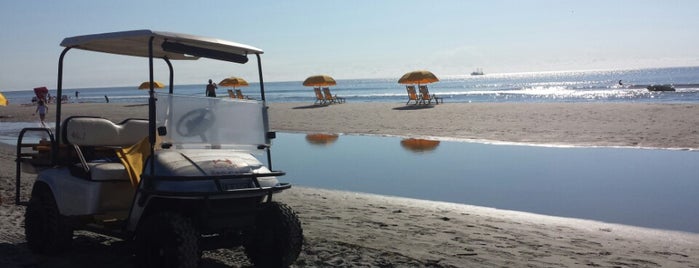 Folly Beach is one of mike'nin Beğendiği Mekanlar.