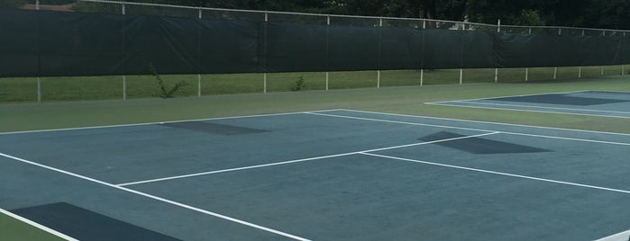 Hawthorne Tennis Courts is one of ACE Badge Expertise.