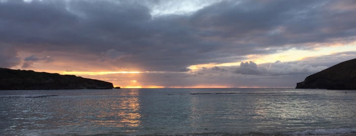 Hanauma Bay Nature Preserve is one of Posti che sono piaciuti a John.