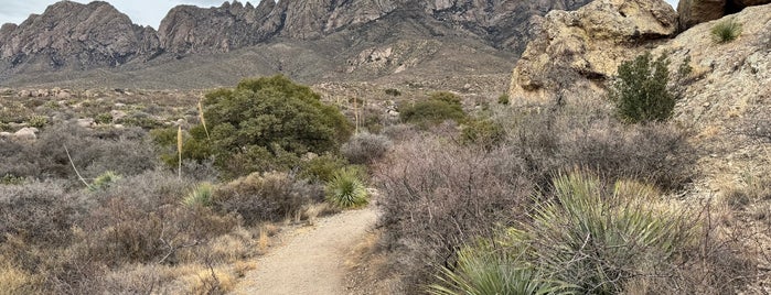 Dripping Springs Trail/ La Cueva is one of New Mexico.