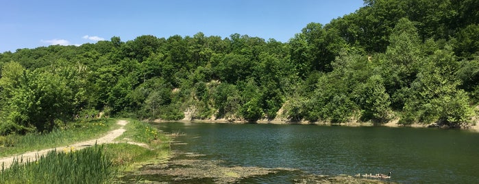 Kickapoo State Recreation Area is one of Illinois: State and National Parks.