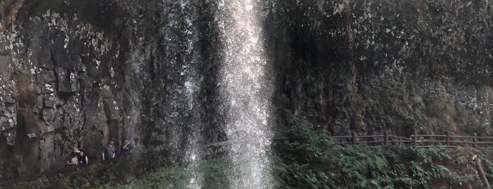 Lower South Falls is one of Savannahさんのお気に入りスポット.