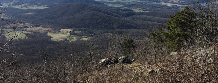 Viewpoint on Dickey Ridge Trail is one of Tempat yang Disukai Eric.