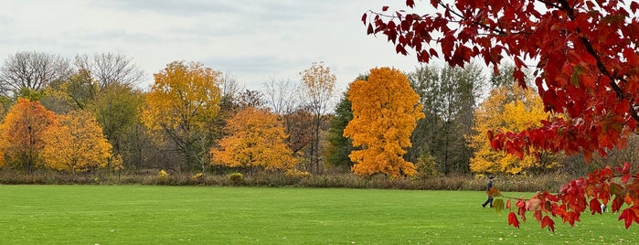 Meadowbrook Park is one of Guide to Urbana's best spots.