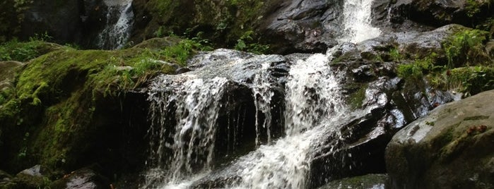 Dark Hollow Falls is one of Waterfalls - 2.