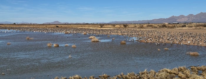 Whitewater Draw Wildlife Area is one of Arizona.