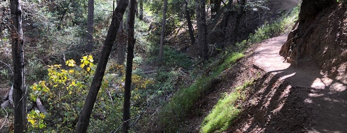 Monrovia Canyon Park is one of date.