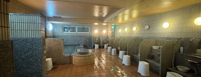 ラジウム人工温泉 玄要の湯 is one of 訪れた温泉施設.