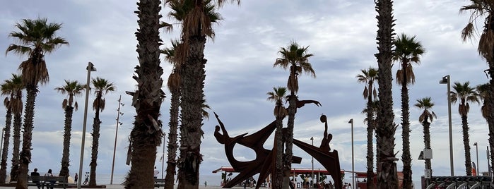 La Barceloneta is one of Carlos’s Liked Places.