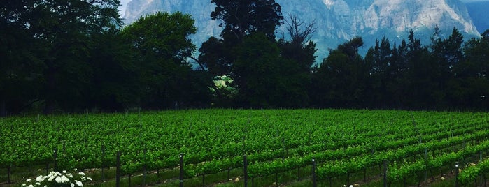 Thelema Wine Farm is one of Lugares favoritos de Ana Beatriz.