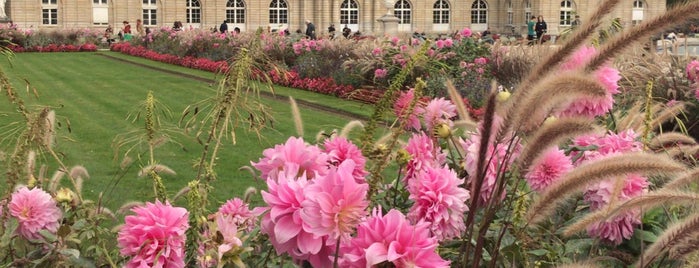 Jardim de Luxemburgo is one of Locais curtidos por Ana Beatriz.