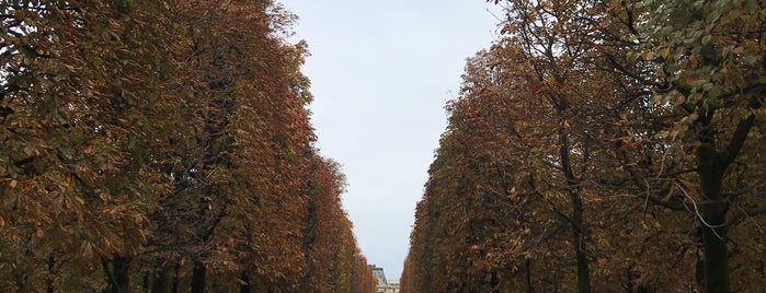 Jardin des Tuileries is one of Ana Beatriz'in Beğendiği Mekanlar.