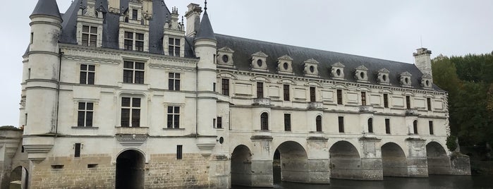 Château de Chenonceau is one of Ana Beatriz'in Beğendiği Mekanlar.