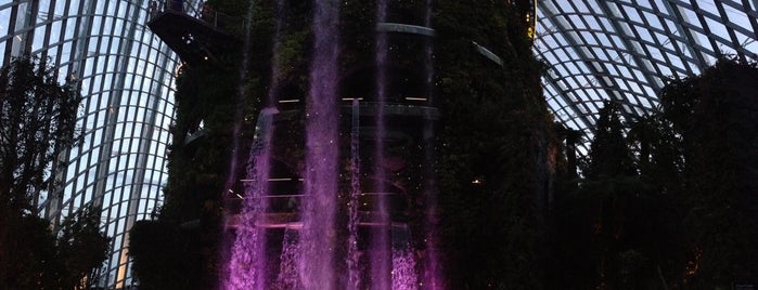 Cloud Forest is one of Дмитрийさんのお気に入りスポット.