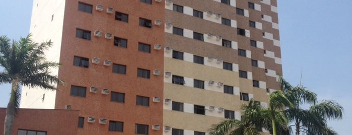 Hotel Londristar is one of Lugares favoritos de Oliva.