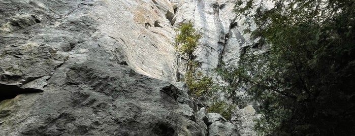 Devil's Glen Rock Climbing Area is one of Climbing.