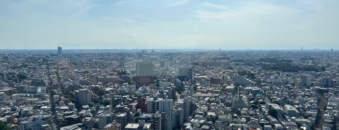 キャロットタワー 展望ロビー is one of The 15 Best Scenic Lookouts in Tokyo.