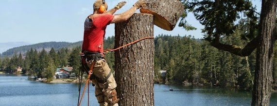 Tree Service Atlanta Pros is one of Chesterさんのお気に入りスポット.