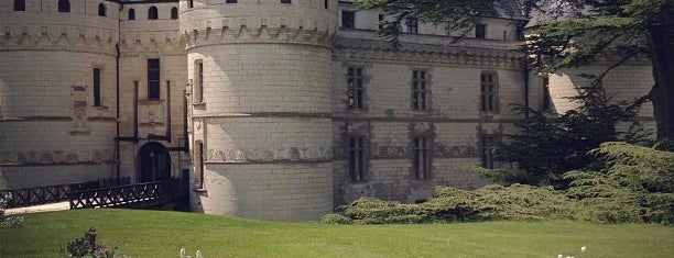 Château de Chaumont-sur-Loire is one of France.