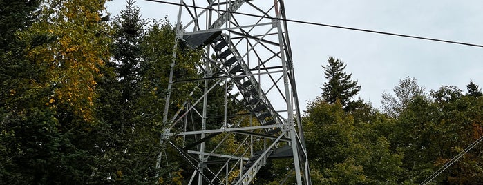 Mount Olga Fire Tower is one of Vermont.