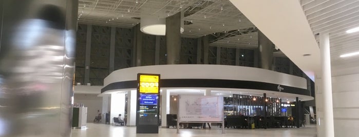 Новый терминал is one of Orte, die Stanislav gefallen.