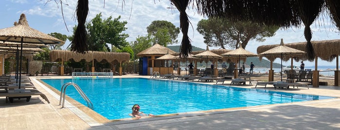 No:16 Hotel & Restaurant & Beach is one of Posti che sono piaciuti a Erdem.