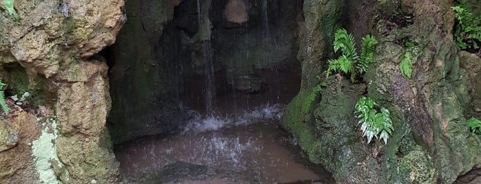 Dewstow Gardens & Hidden Grottoes is one of Exploring UK.