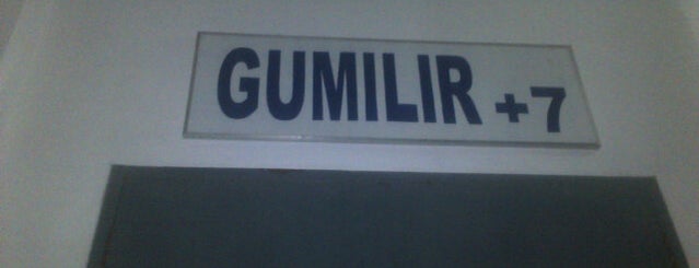 Stasiun Gumilir is one of Train Station in Java.
