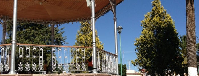 Jardin Principal San Jose Iturbide is one of Rogelio'nun Beğendiği Mekanlar.