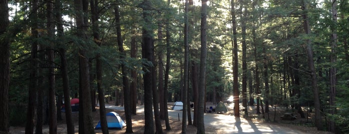 Otter River State Forest Campground is one of Lugares favoritos de Rachel.