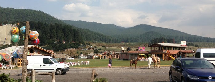 Cabaña Las Margaritas is one of Echar la comidita.