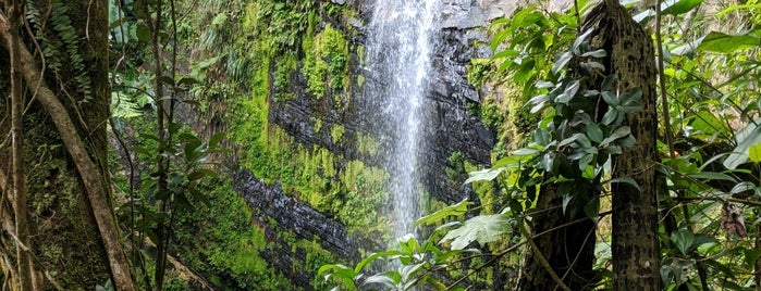Juan Diego Waterfall is one of Islands.