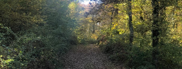 Dereköseler Köyü is one of Gül's Saved Places.