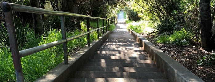 Stairs of Marin