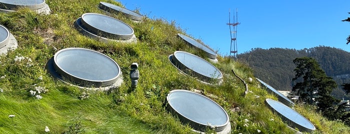 The Living Roof is one of SF Bay Area.