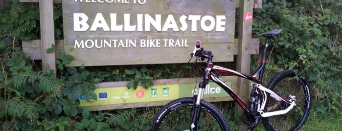 Ballinastoe Mountain Bike Trail is one of Mountain Bike Trails.