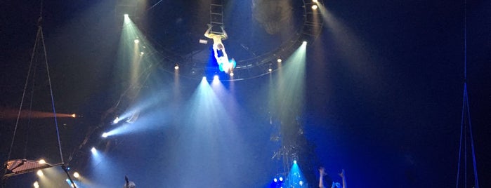 Cirque du Soleil - Kurios: Cabinet of Curiosities is one of Been there, done that.