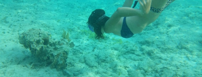 Cozumel Reefs National Park is one of Cancun.