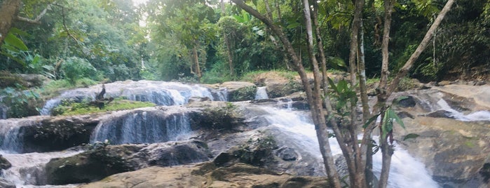 Mae Sa Noi Waterfall is one of เชียงราย.
