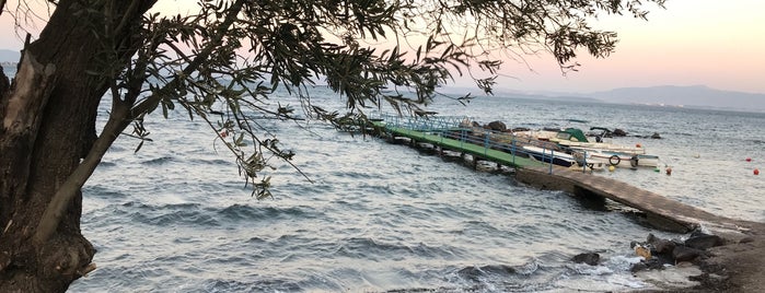 Flamingo Beach is one of Çandarlı Dikili Best Of.