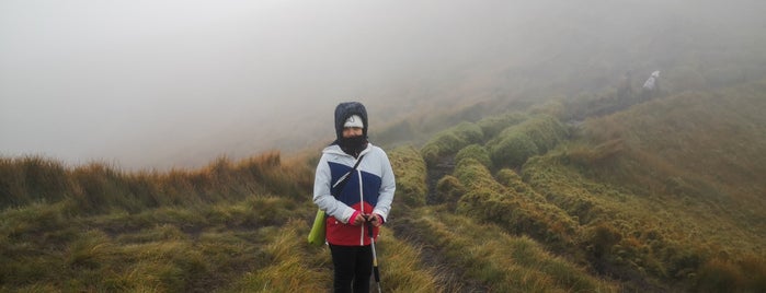 Mt. Pulag is one of Places to Try.