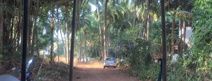 Guanaja is one of Goa.