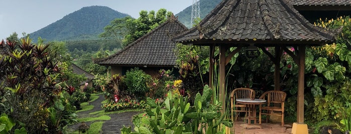 Strawberry Hill Hotel is one of Bali.