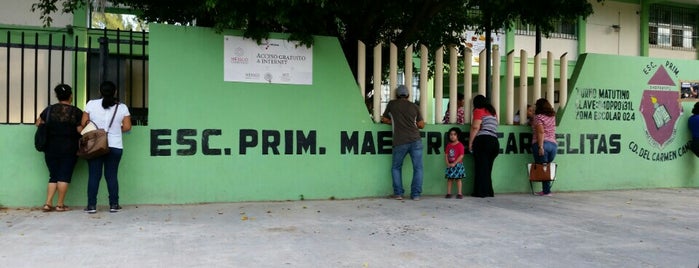 Escuela Primaria "Maestros Carmelitas" is one of สถานที่ที่ Fer ถูกใจ.
