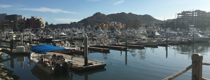 Dos Mares is one of Los Cabos.