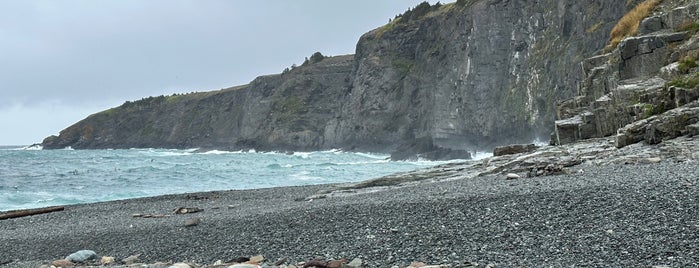 Middle Cove Beach is one of St. John's Essentials.