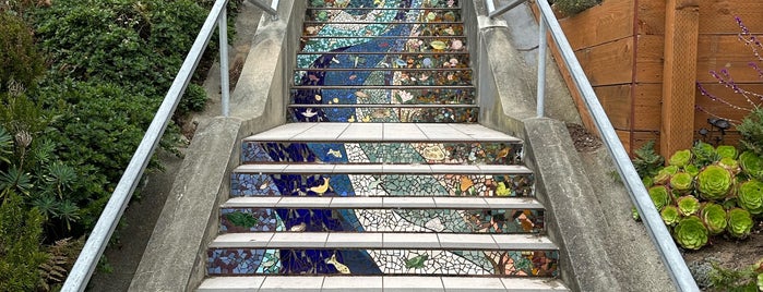 Moraga Steps is one of Stairs of San Francisco.