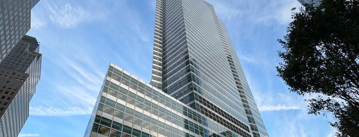 Goldman Sachs is one of ny office.